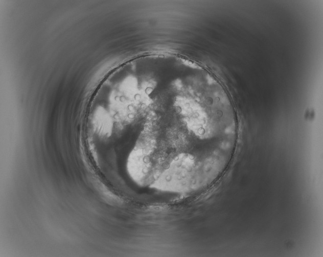 X0000112350145200909241110