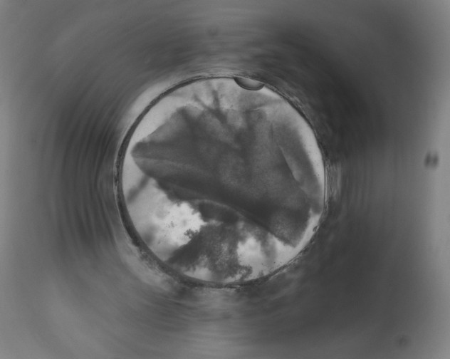 X0000112350147200909241110