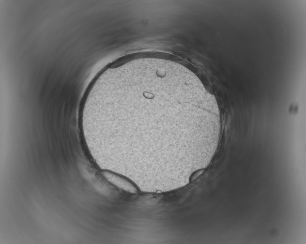 X0000112350148200909241110