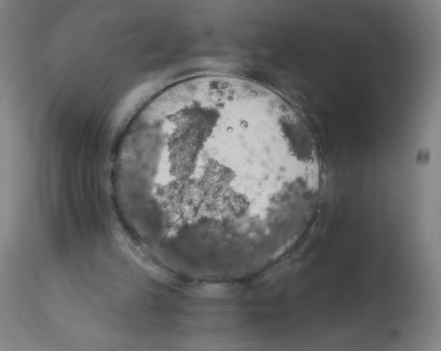 X0000112350149200909241110