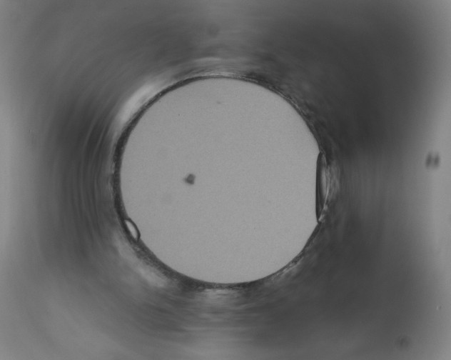 X0000112350150200909241110