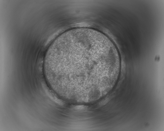 X0000112350153200909241110