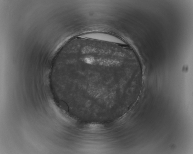 X0000112350154200909241110