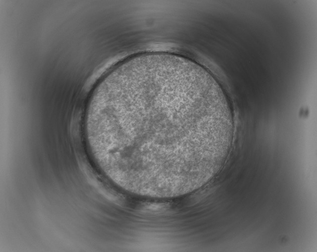 X0000112350155200909241110