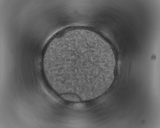 X0000112350156200909241110