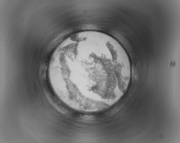 X0000112350157200909241110