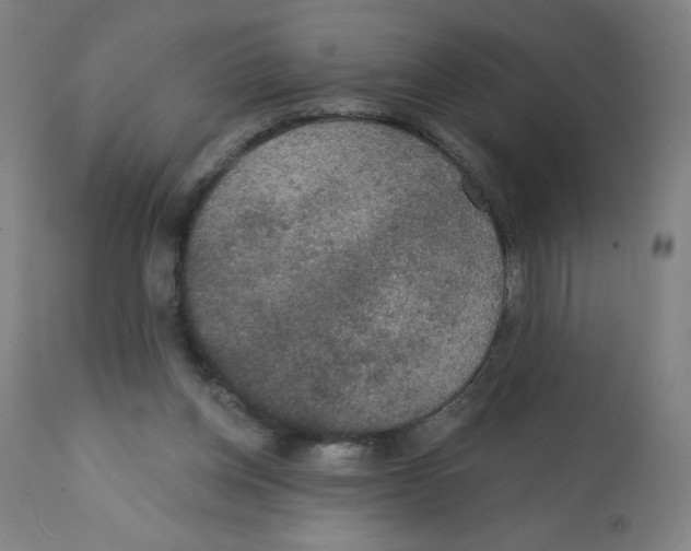 X0000112350158200909241110