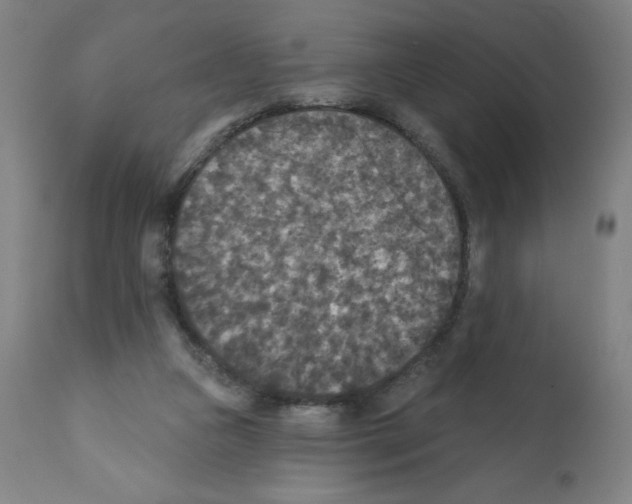 X0000112350161200909241110