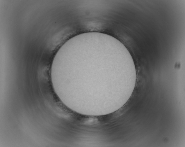 X0000112350162200909241110