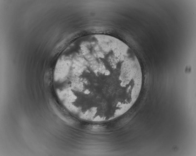 X0000112350165200909241110