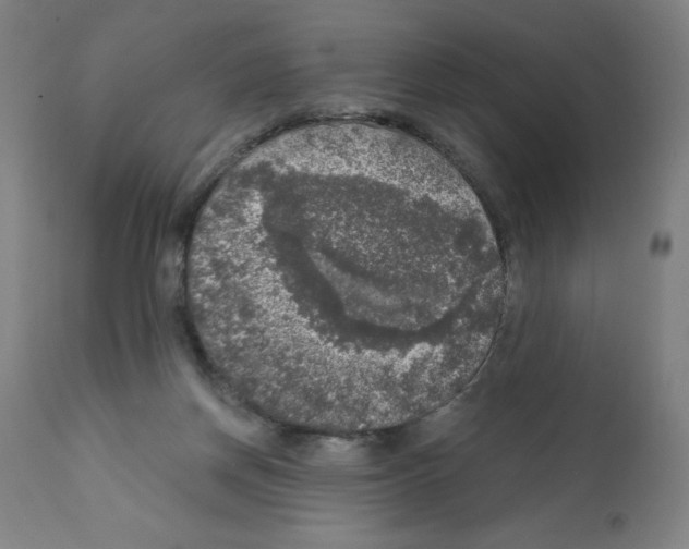 X0000112350166200909241110