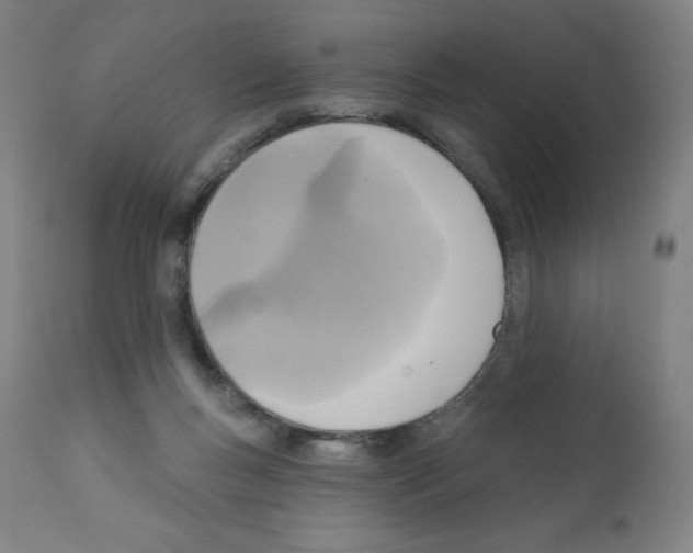 X0000112350167200909241110