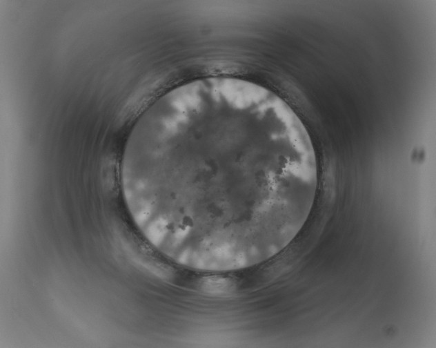 X0000112350169200909241110