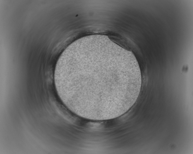 X0000112350170200909241110