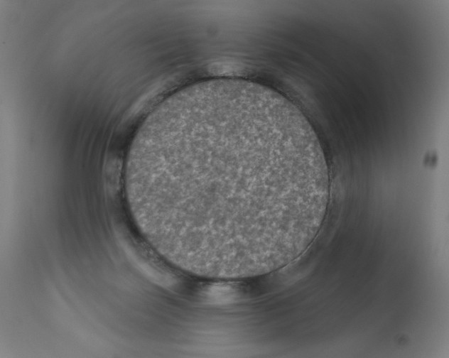 X0000112350171200909241110