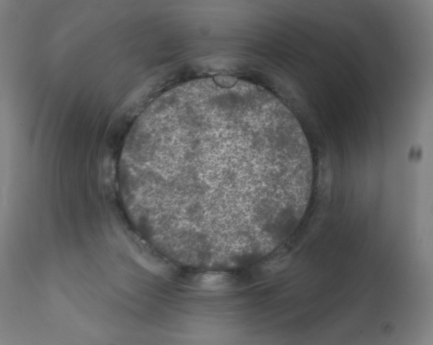 X0000112350173200909241110