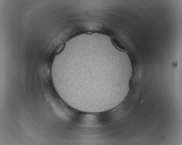 X0000112350176200909241111