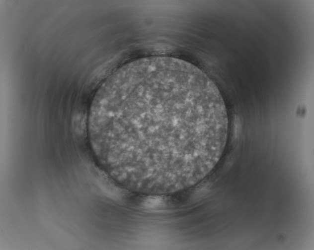 X0000112350177200909241111