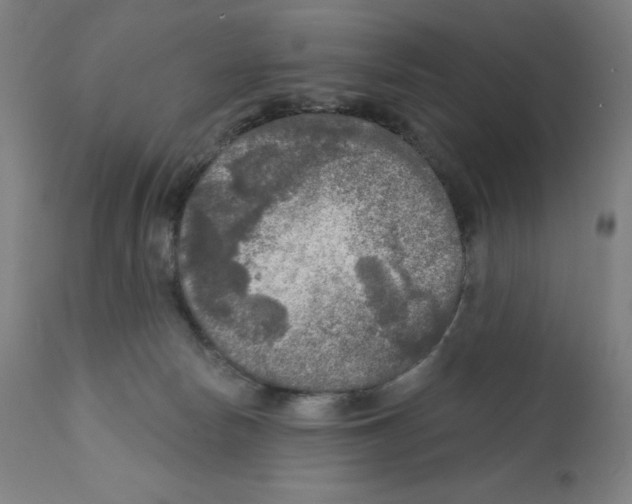 X0000112350178200909241111