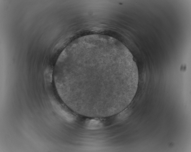 X0000112350180200909241111