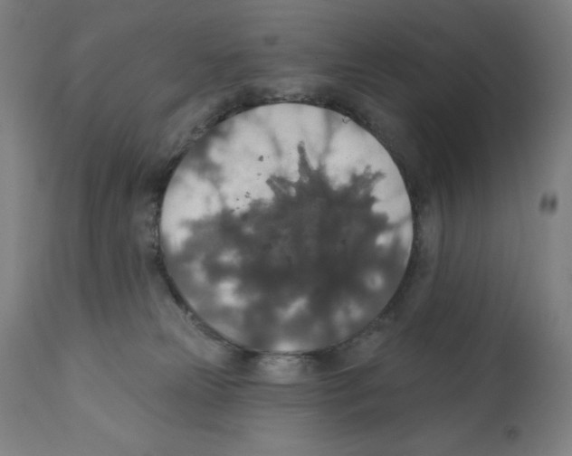 X0000112350181200909241111