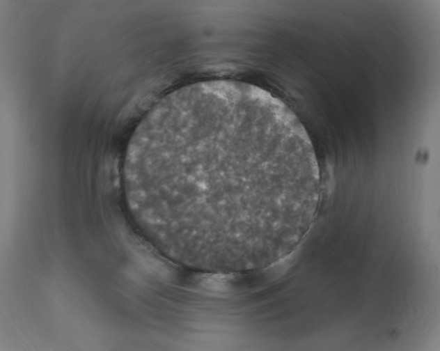 X0000112350182200909241111