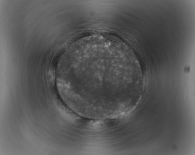 X0000112350186200909241111