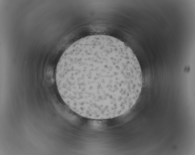 X0000112350187200909241111