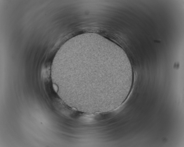 X0000112350190200909241111