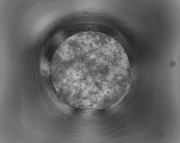 X0000112350191200909241111