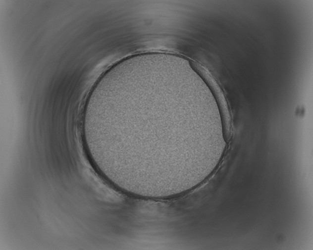 X0000112350193200909241110