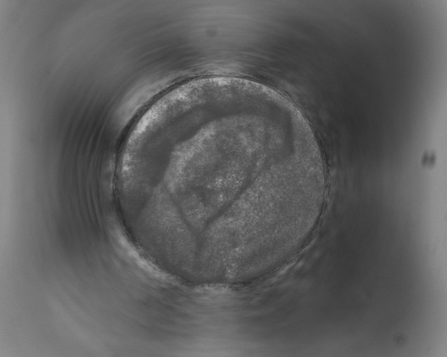 X0000112350194200909241110