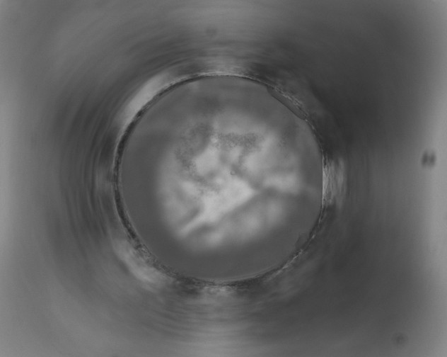 X0000112350195200909241110