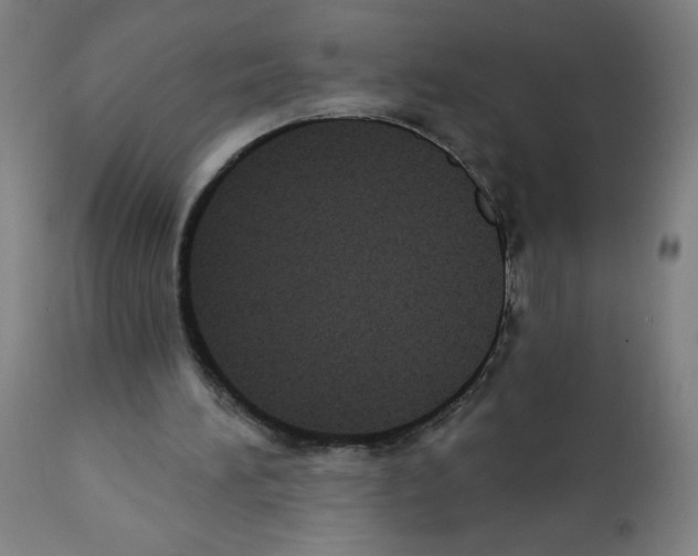 X0000112350196200909241110