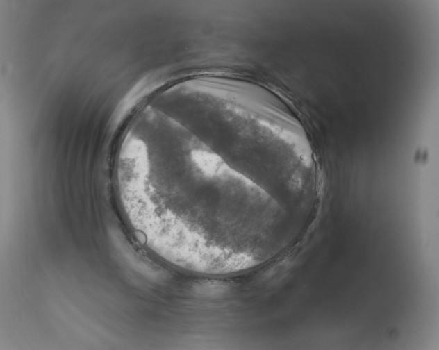 X0000112350198200909241110