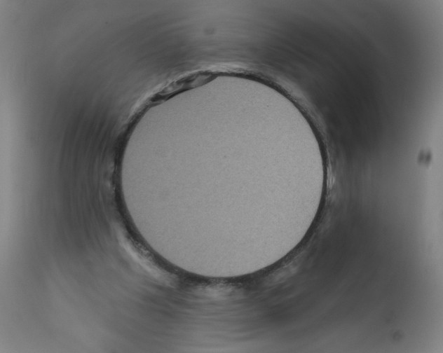 X0000112350201200909241110