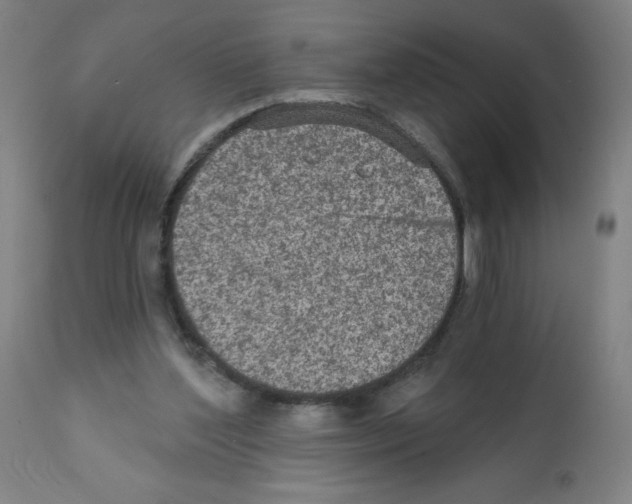 X0000112350204200909241110