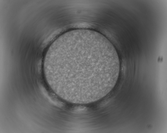 X0000112350206200909241110