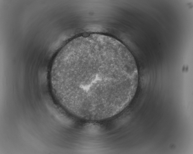 X0000112350207200909241110