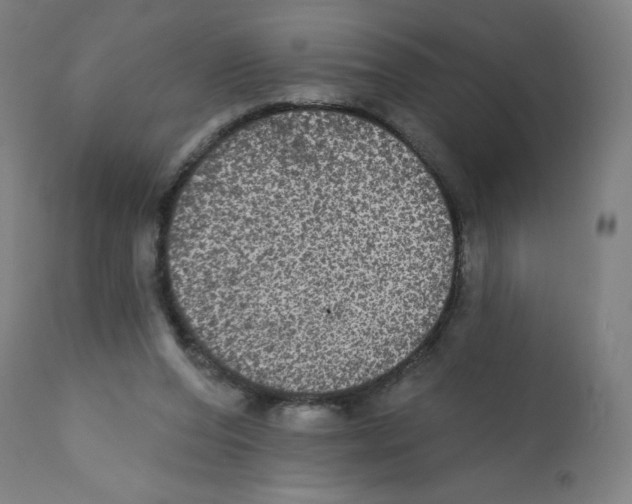 X0000112350208200909241110