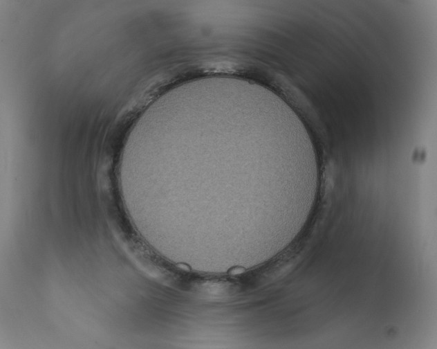 X0000112350209200909241110