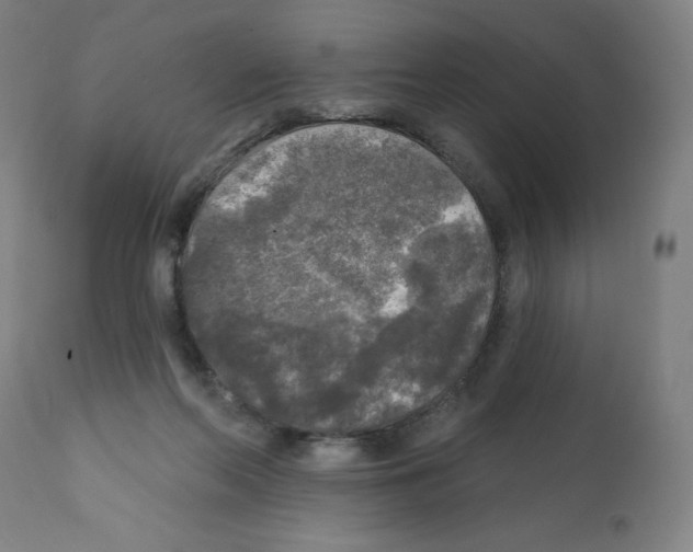 X0000112350214200909241110