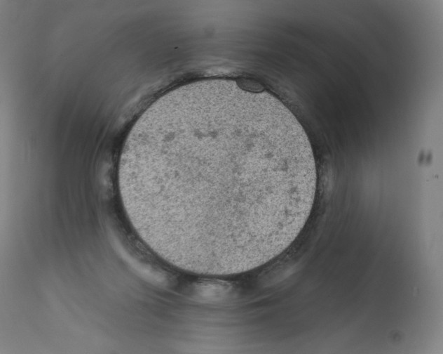 X0000112350215200909241110