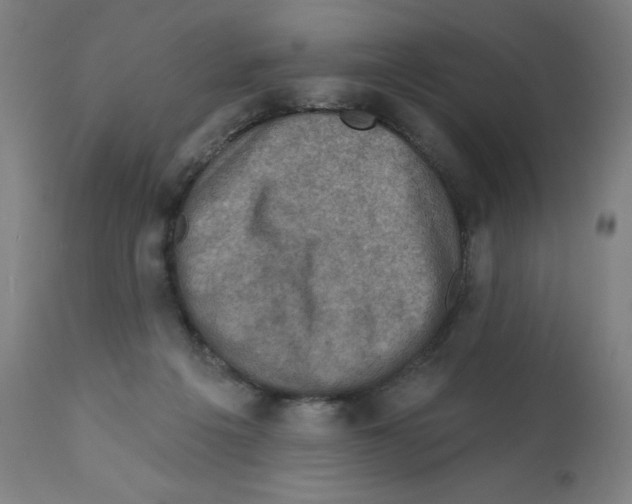 X0000112350217200909241110