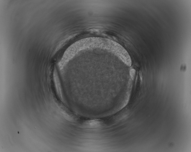 X0000112350219200909241110