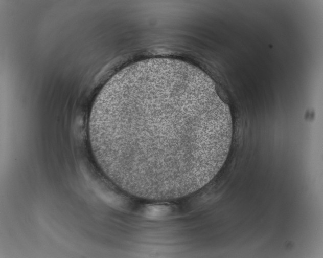 X0000112350220200909241110