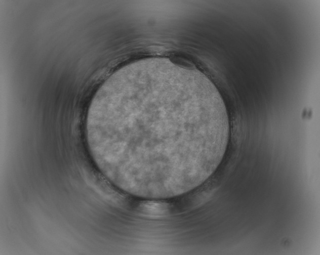 X0000112350221200909241110