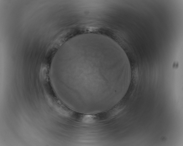 X0000112350222200909241110