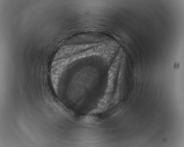 X0000112350223200909241110