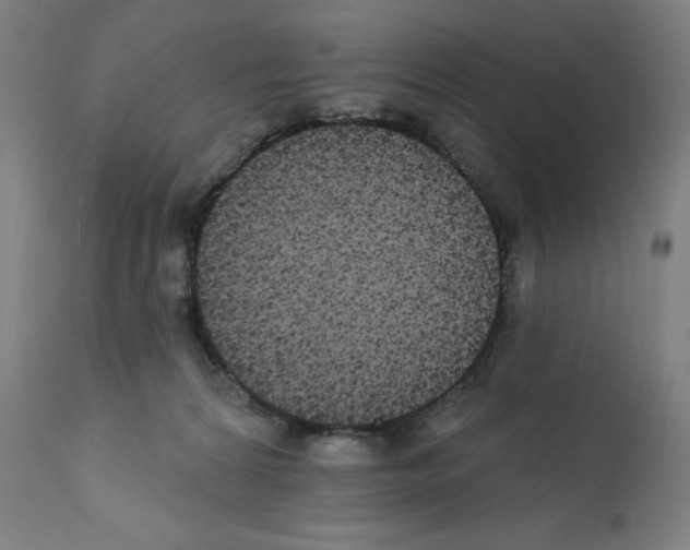 X0000112350224200909241110